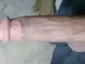 亚裔大鸡巴!! telegram gay asian porn